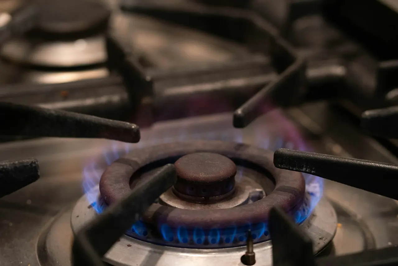 A gas hob burner lit with an even blue flame